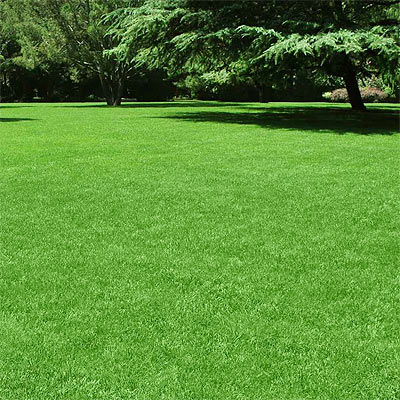 South Jersey Landscaping